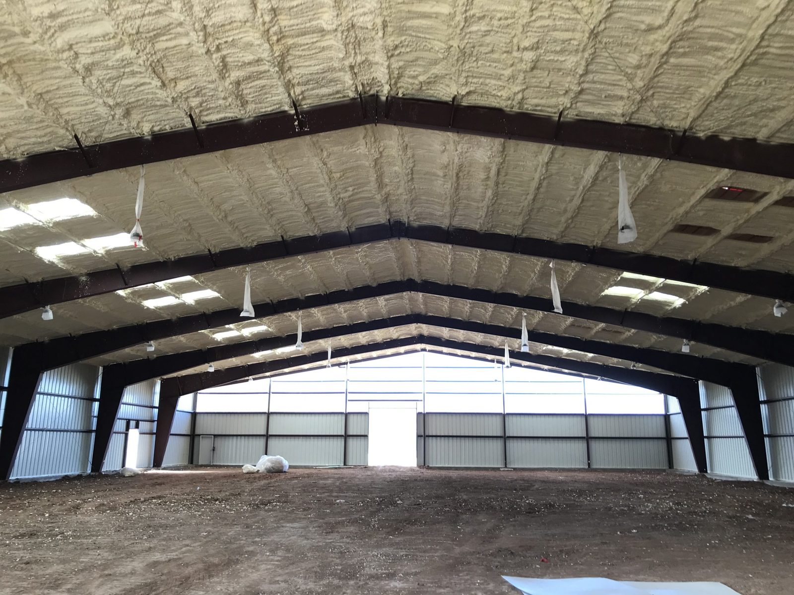 Roof purlins in place